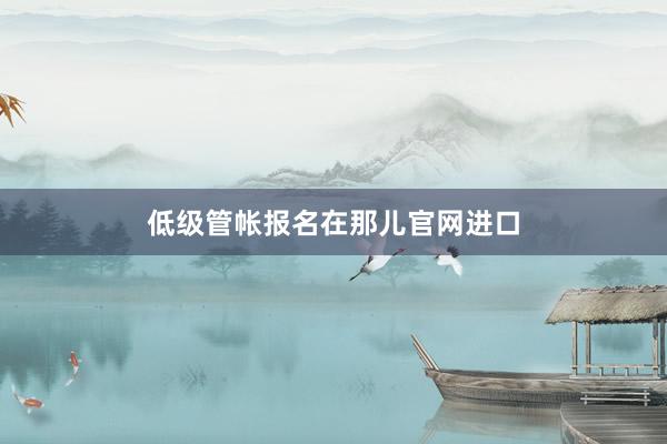 低级管帐报名在那儿官网进口