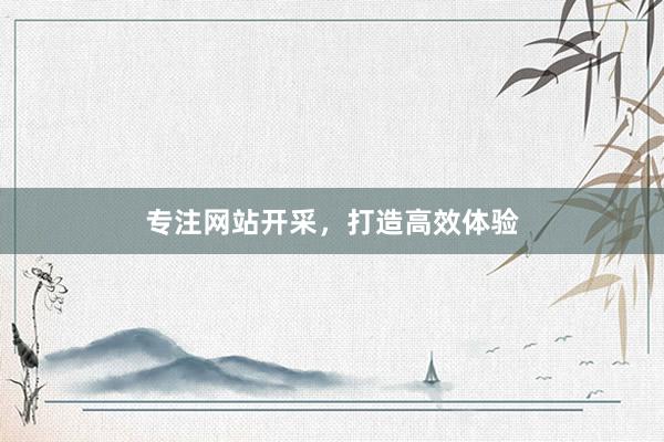 专注网站开采，打造高效体验