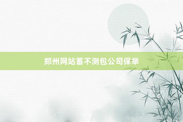 郑州网站蓄不测包公司保举